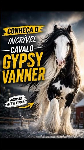 The Most Incredible Horse in the World: Gypsy Vanner