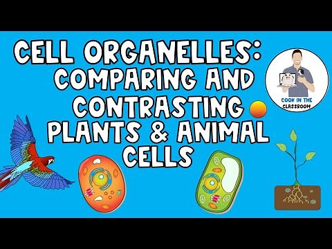 Cell Organelles: Comparing and Contrasting Plant and Animal Cells