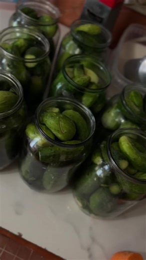 Victoria Storozh на TikTok