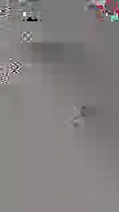 1.5K views · 19 reactions | "I just tried Boxbollen, it's so fun, it's so addicting! You have to check it out!" — Chantel Jeffries Get 15% OFF for 2 Boxballs Today! FAST Shipping  | Boxbollen | Facebook