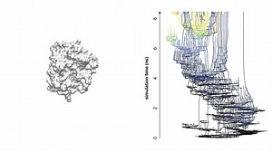 REVO unbinding ensemble for trypsin-benzamidine
