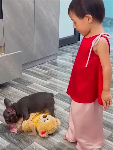 79K views · 2K reactions | Diem was sad when Mun dog ruined Kaka monkey's favorite dress #Kaka | Kaka Page | Facebook