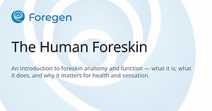 The Human Foreskin — Foregen