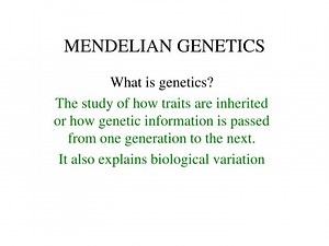 MENDELIAN GENETICS - SlideServe