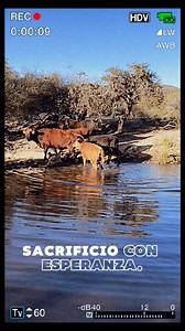 Es más responsabilidad que herencia | Vida en el rancho