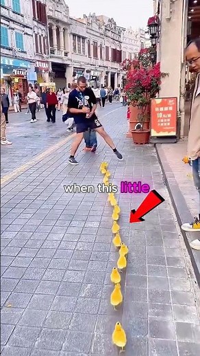 Boy Walks His Ducklings Like a Pro 🦆😂 Too Wholesome!