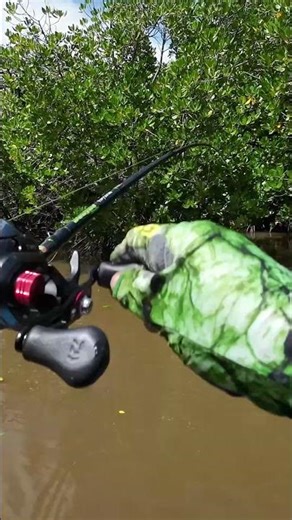 No rain run off fishing