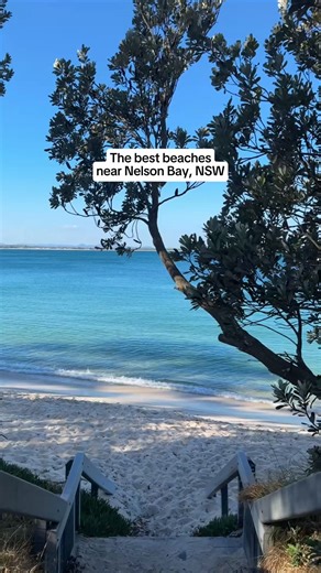 Beach hopping near Nelson Bay is a must. 🌊 These local favourites show off the best of Port Stephens: 🌊 Shoal Bay - turquoise water and postcard-perfect views. 🌊 Zenith Beach - known for its stunning scenery. 🌊 One Mile Beach - great for surfing and long beach walks. 🌊 Salamander Bay - peaceful, family-friendly and ideal for a relaxed swim. Just to name a few...there are so many more to explore! Which beach is your favourite? ID: The best beaches close to Nelson Bay in New South Wales, high