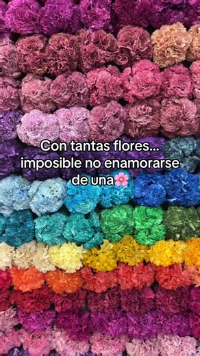 Detalles que marcan la diferencia.✨ Variedad, color y mucho flamenco en cada elección. ¿Cuál es tu favorita? #modaflamenca #flamenca #feriadesevilla #floresflamenca #inspoflamenca