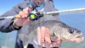 MadBite by KastKing Dead Drop Jig Heads for Fishing, Jig Hooks, Sinks Quickly, Dual Attachment Points, Smaller Profile, Convenient Pro Packs, Super Sharp Needle Point, Short Shank Hooks