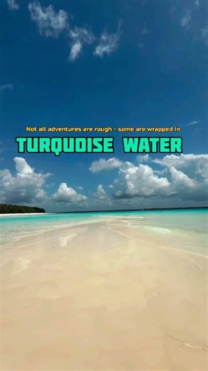 𝐕𝐈𝐒𝐈𝐓 𝐙𝐀𝐍𝐙𝐈𝐁𝐀𝐑 𝐈𝐒𝐋𝐀𝐍𝐃𝐒 #visitzanzibar on Instagram: "𝐕𝐈𝐒𝐈𝐓 𝐃𝐎𝐋𝐏𝐇𝐈𝐍 𝐀𝐃𝐕𝐄𝐍𝐓𝐔𝐑𝐄𝐒 𝐀𝐍𝐃 𝐒𝐍𝐎𝐑𝐊𝐄𝐋𝐍𝐆 𝐀𝐓 𝐌𝐍𝐄𝐌𝐁𝐀 𝐈𝐒𝐋𝐀𝐍𝐃 𝐇𝐀𝐋𝐅 𝐃𝐀𝐘 𝐓𝐑𝐈𝐏 (𝐏𝐫𝐢𝐯𝐚𝐭𝐞 𝐓𝐫𝐢𝐩) 🎥: Cc visit zanzibar 𝐃𝐮𝐫𝐚𝐭𝐢𝐨𝐧: 4 𝐇𝐫𝐬 Departure Time: 8:00 Am 🌍: 𝐄𝐚𝐬𝐭 𝐀𝐟𝐫𝐢𝐜𝐚 🇹🇿: 𝐓𝐚𝐧𝐳𝐚𝐧𝐢𝐚 📍: 𝐌𝐧𝐞𝐦𝐛𝐚 𝐂𝐨𝐫𝐚𝐈 𝐑𝐞𝐞𝐟, 𝐙𝐚𝐧𝐳𝐢𝐛𝐚𝐫 𝐈𝐬𝐥𝐚𝐧𝐝 𝐅𝐮𝐥𝐥 𝐃𝐞𝐬𝐜𝐫𝐢𝐩𝐭𝐢𝐨𝐧 This is one of our most recommended activities in