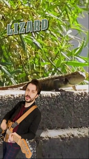 Lizard Doing Push Ups: Unusual Workout Inspiration