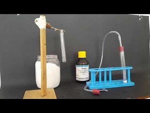 10th Science, Activity 2.9