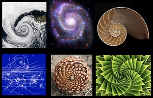 Fibonacci Day!