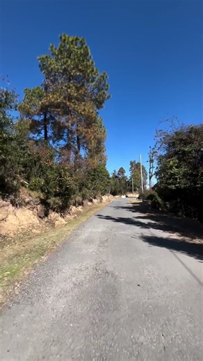 Garhwali tone | WhatsApp status | Instagram reels | garhwali song#shorts #trending #viral #explore 😍