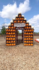 Fall Fest at Happy Day Farm - GIVEAWAY BELOW!🍁🍂🎃 Happy Day Farm’s legendary Fall Harvest Fest returns this weekend! Over 35 games, activities and attractions are included with admission - such as a Peanuts Corn Maze, Fun Slide, Tractor Rides, Pig Racing, Hay Maze, Animal Zoo, the adorable Pumpkinville houses, a sunflower field and zinnia field to visit (included- picking flowers is extra!) and so much more! Our tip: get your tickets asap, and visit early in the season! October weekends sell o