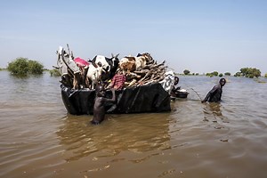 The climate crisis is a child rights crisis