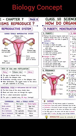 How Do Organisms Reproduce Full Concept With Diagram I Class 10 Science New Session Ujjwalstudynotes