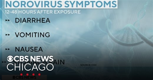 Norovirus symptoms and prevention