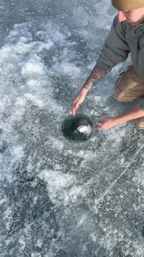 BIG STEELHEAD landed ice fishing #fishing #troutfishing #fishon #giant