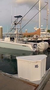 3.4K views · 88 reactions | Doing what we love most... #ContenderBoats #DrivenForWhatsInTheWater #FishingDaily | Contender Boats Inc. | Facebook