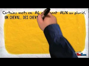 Le pluriel des noms et des adjectifs