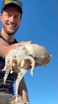 Cerco pesci serra MA TROVO ALTRO🦑 #fishingbiodiversity #pescaspinning #eging