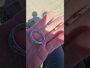 Gary's Metal Detecting Is Live! #51