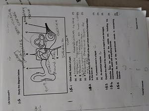 Study the diagram below.1.5.1 Give ONE function of part:(a)... | Filo