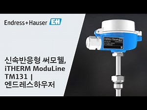 신속반응형 써모웰, iTHERM ModuLine TM131 | 엔드레스하우저