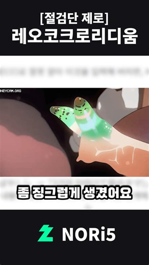 [위험도 ??] 달팽이의 눈 속에서 꾸물대는 기생충 #혐오