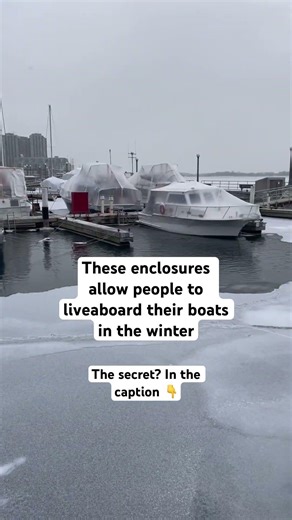 Winter Liveaboards