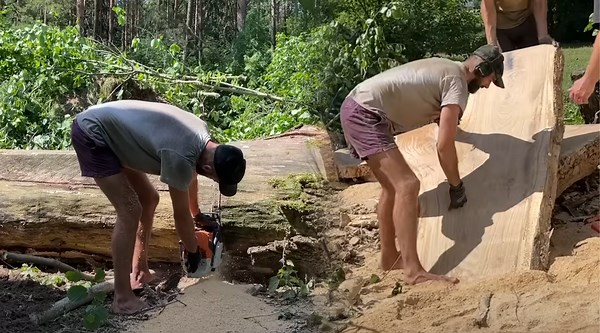 Chainsaw Mill Turning Wood into Masterpieces