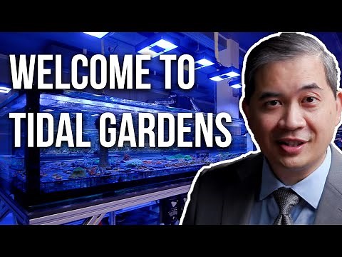 Welcome to Tidal Gardens!