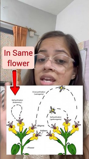 Self and Cross Pollination 🦋🌸🐝 - 7th Class Biology