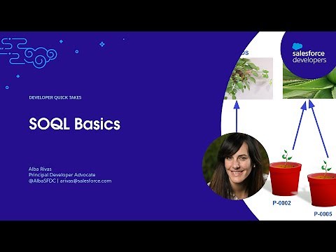 SOQL Basics | Developer Quick Takes
