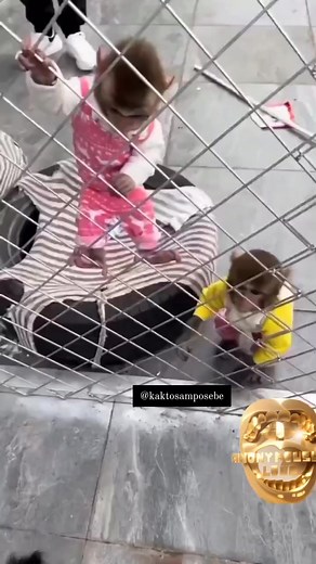 I think he's a little bit angry 🤦‍♂️🤦‍♂️😂 Follow for more 💯🤣👊 - - - #funnyvideos #funnyreels y #memes #memesdaily #comedy #compilation #recopilacion #memesgraciosos #jokes #laugh #laughter #dontlaughchallenge #siguemeparamascontenido #xD | Kings Memes