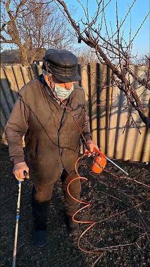 Spring Orchard Routine #garden #gardening #plantcare #homestead #rurallife #gardenwork #farmroutine