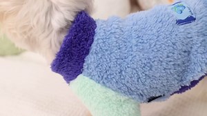 Chihuahua Clothes Dog Sweaters for Small Dogs Puppy Chihuahua Yorkie Teacup Winter Cute Fleece Cat Sweaters Tiny (Small)