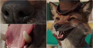 Closer Look at Honest John from Disney's Pinocchio