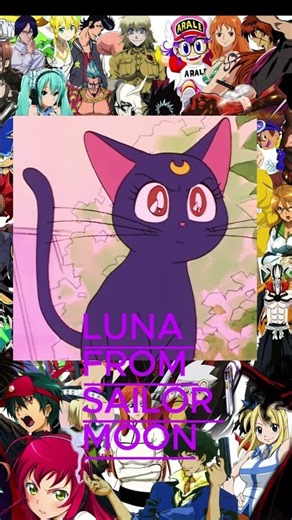 TOP 5 PETS IN ANIME