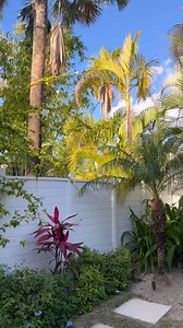 Island bliss awaits in these romantic Island Villas at Sandals Royal Bahamian. Serene garden views from your balcony and a tranquility soaking tub—perfect for a secluded escape. 🌴 Learn more: https://bit.ly/2SvAUMz 🎥: life.byalexandem | Nassau & Paradise Island, The Bahamas