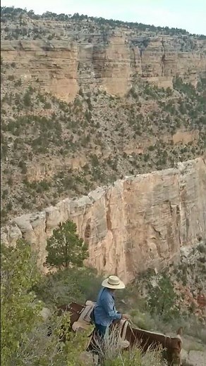 World Famous Mule Rides | Grand Canyon National Park
