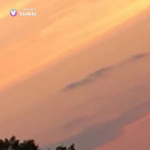 Charlotte Adams on TikTok