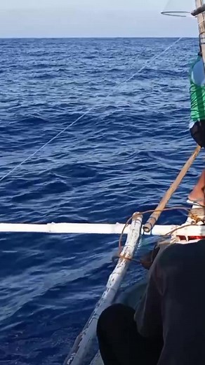 Flying Sword fish | Ernie.Official