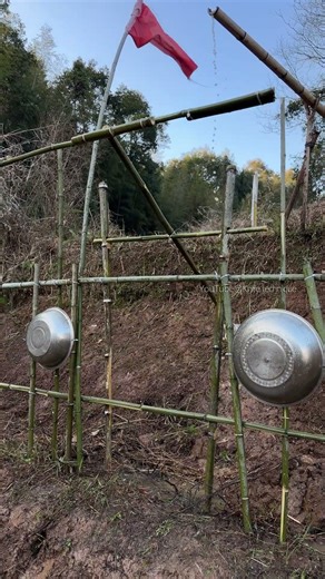 A harmless way to repel birds, live in Harmony with nature.