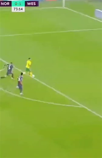 Cute Cat Celebrates Football Win