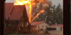 Lightning splits the giant pine in two (Video)