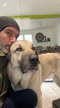 Rocco n’aura définitivement pas réussi à se faire accepter des deux mâles. Il faut dire que la pério