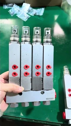 mesolube produce injector SLV for single line lubrication system